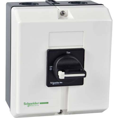 Schneider Electric VBF4GE Lasttrennschalter 1 St. Schaltspannung (max.): 690 V/AC (B x H x T) 157 x 180 x 152 mm