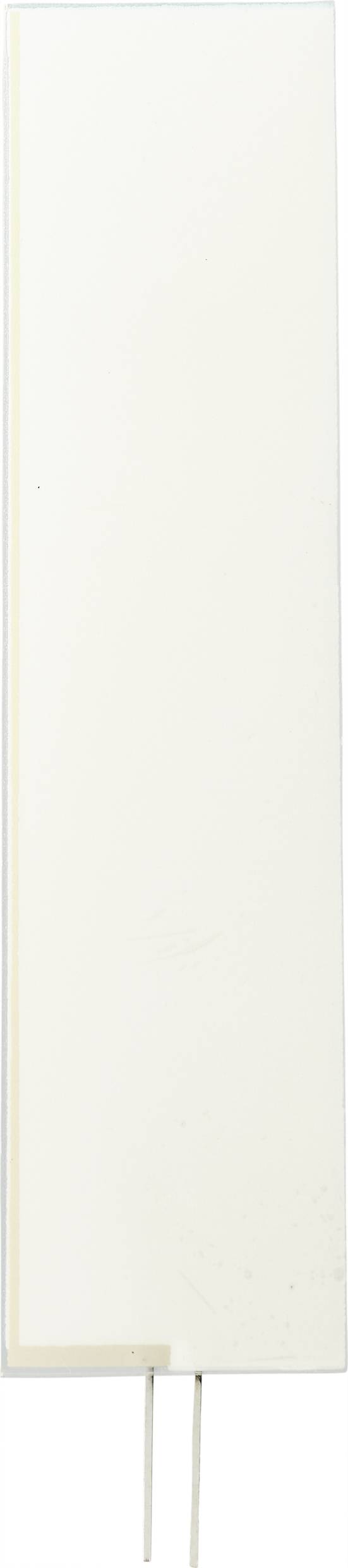 Ein rechteckiger Drahtlos-Empfänger mit zwei hervorkragenden Metallstiften an der Unterseite.