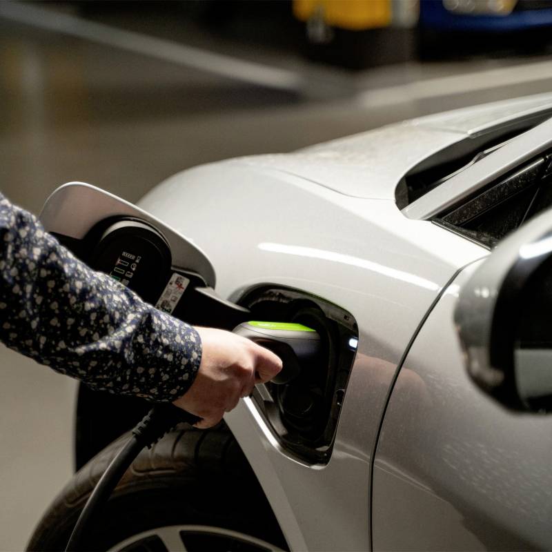 Ladekabel mit Kontrollbox