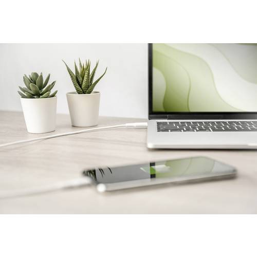 Digitus USB-Kabel USB 2.0 USB-C® Stecker 1.00 m Weiß doppelt geschirmt, mit USB, PVC-Mantel DB-600109-010-W