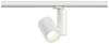 Paulmann ProRail3 Zeuz 33W 15° 3000K W triac Systemleuchte (Basis) ProRail3 33 W LED Weiß