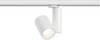 Paulmann ProRail3 Zeuz 33W 39° 3000K W triac Systemleuchte (Basis) ProRail3 33 W LED Weiß