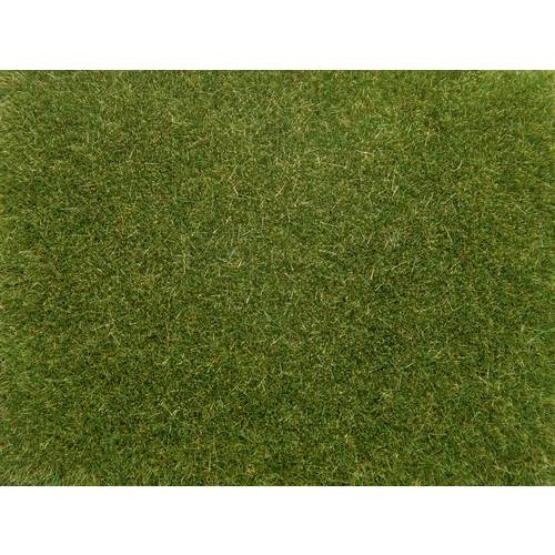 NOCH 08364 Streugras Mittelgrün 4 mm, 20 g