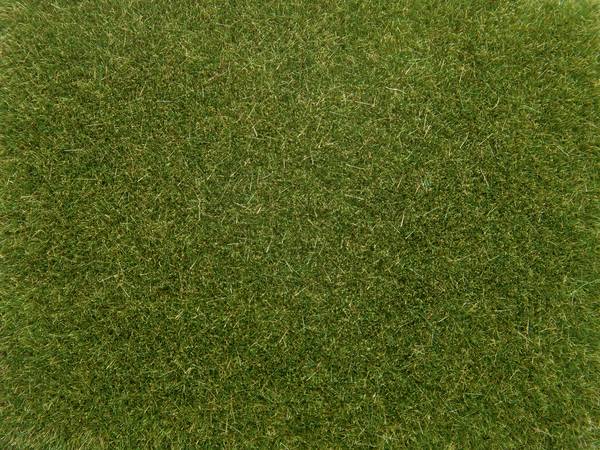 NOCH 08364 Streugras  Mittelgrün 4 mm, 20 g