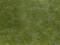 Grüne Grasfläche mit unterschiedlich dichten Bereichen.