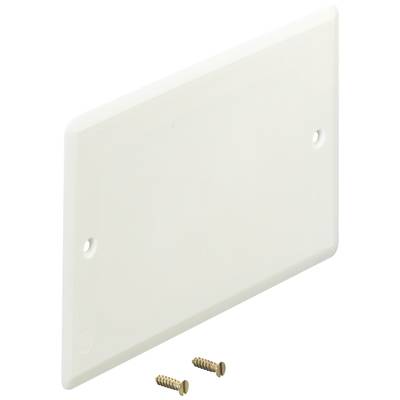 Eine weiße, rechteckige Abdeckplatte aus Kunststoff mit abgerundeten Ecken, zwei Befestigungslöchern und dazugehörigen Schrauben.