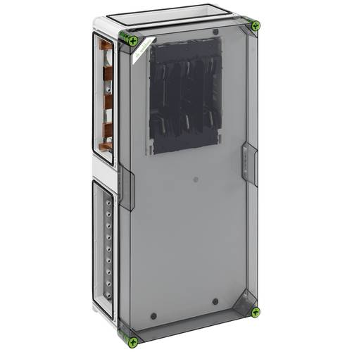 Spelsberg 4211601 GSS 4116-250 Verteilerschrank Anzahl Reihen = 1 Inhalt 1 St.