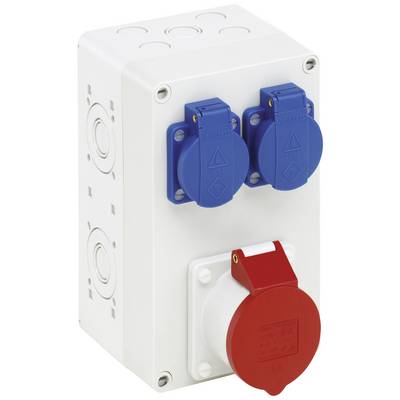 Elektrische Steckdose mit zwei blauen und einer roten Buchse an einem weißen Gehäuse, geeignet für Industrieanwendungen.