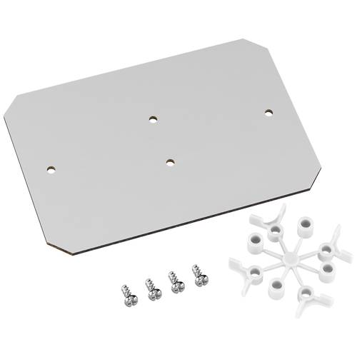 Spelsberg 19501101 Montageplatte Kunststoff 1 St.