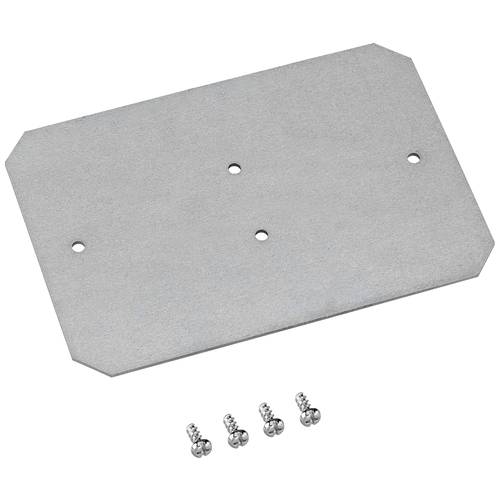 Spelsberg 19701101 Montageplatte Kunststoff 1 St.