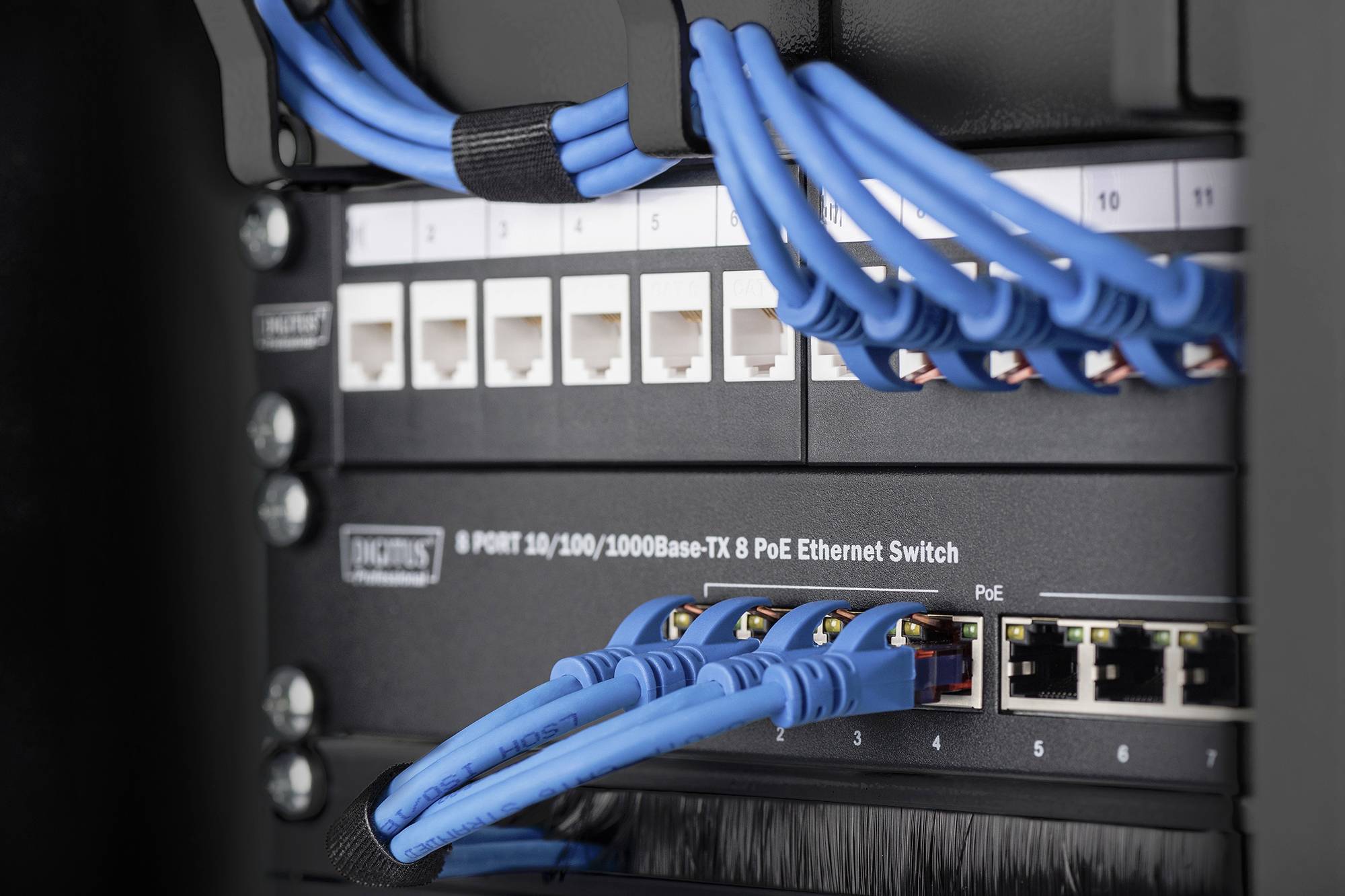 Ein Netzwerk-Switch mit mehreren blauen Ethernet-Kabeln, die in die Ports eingesteckt sind.