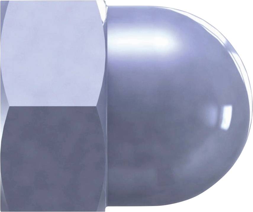 Reisser 31786 Hutmutter M10 50 St.