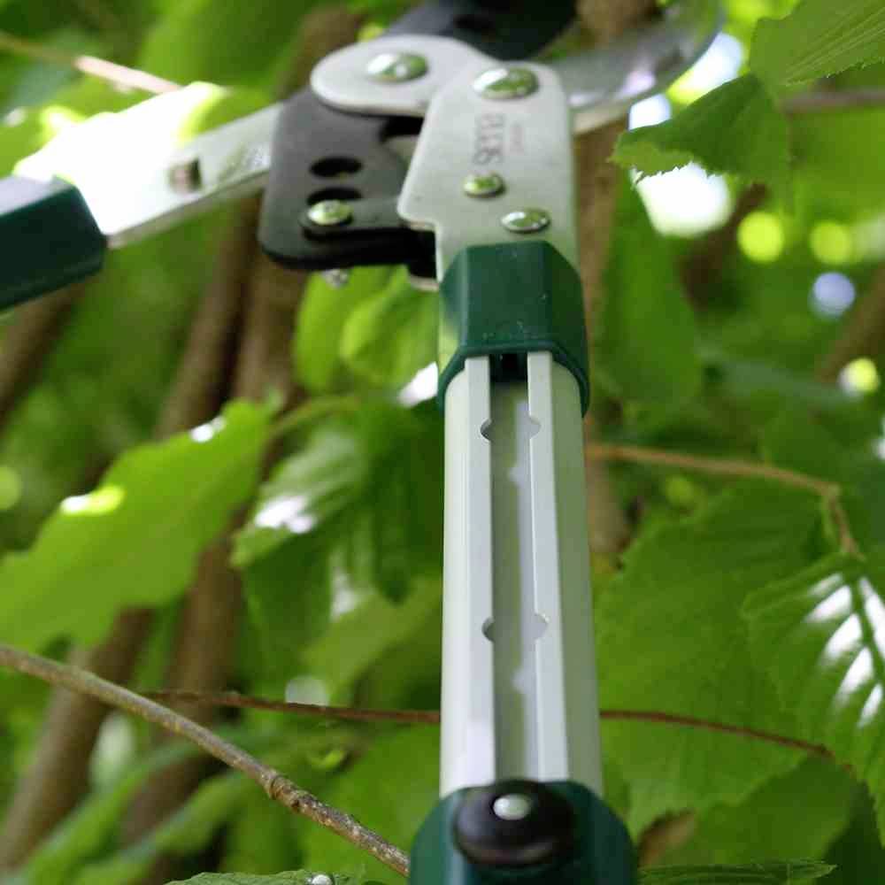 Eine grüne Astschere mit verlängerten Griffen schneidet einen Zweig in einem dichten Laubwerk.