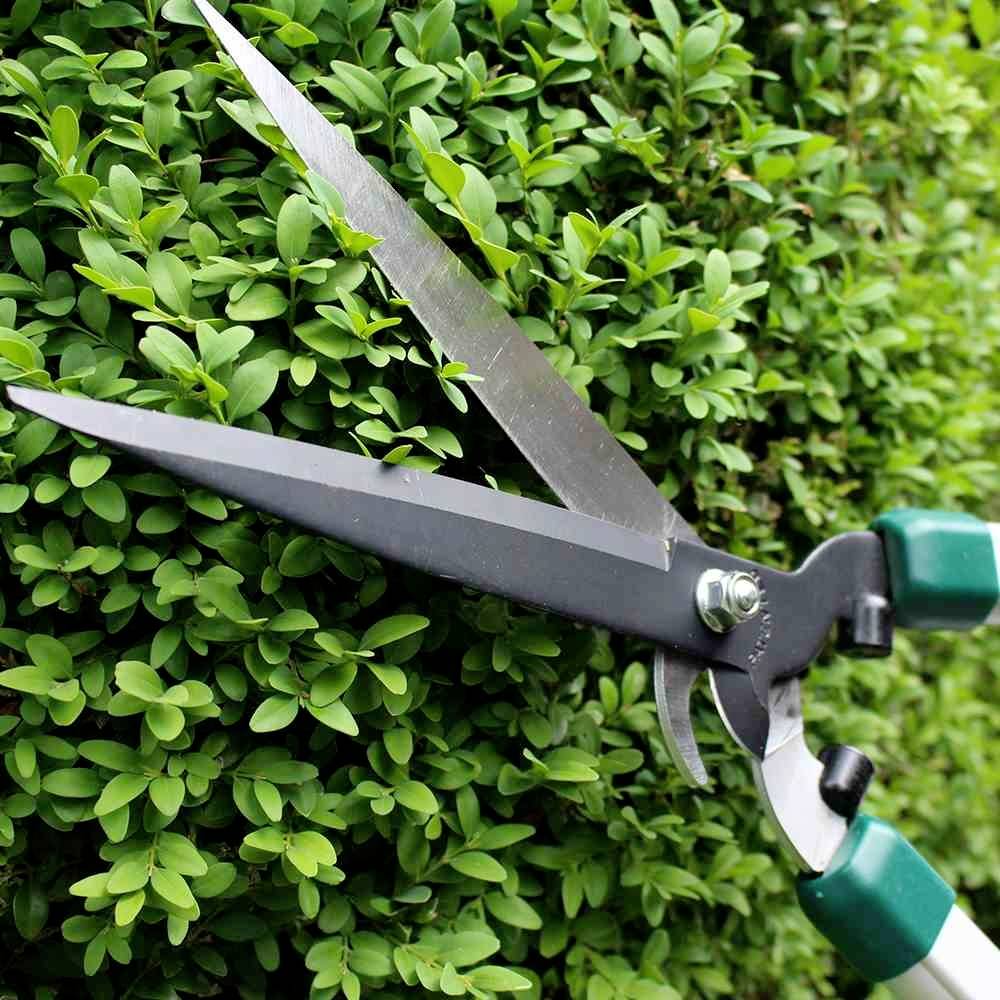 Eine Schere schneidet eine grüne Hecke. Die scharfen Klingen durchtrennen präzise die Blätter, während sie die Hecke formen.