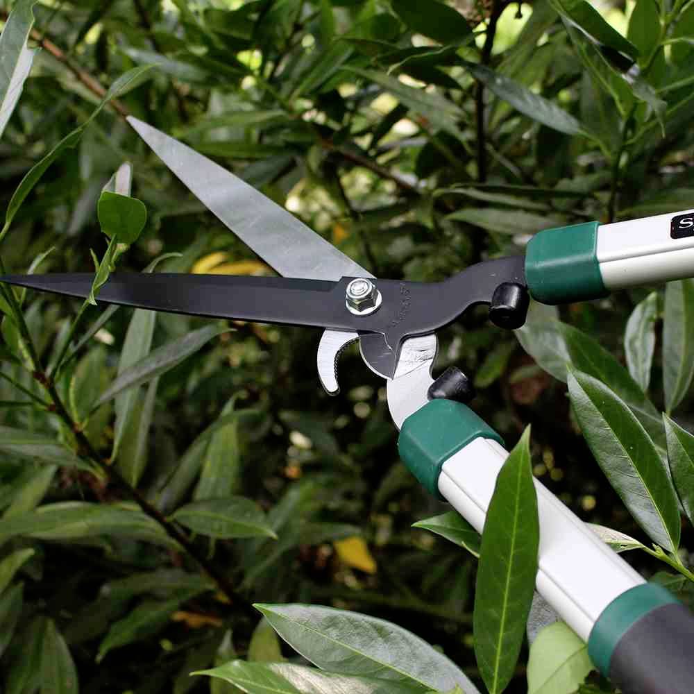 Eine Heckenschere schneidet grünes Laub im Garten. Die scharfen Klingen durchtrennen präzise die Blätter der Pflanzen.