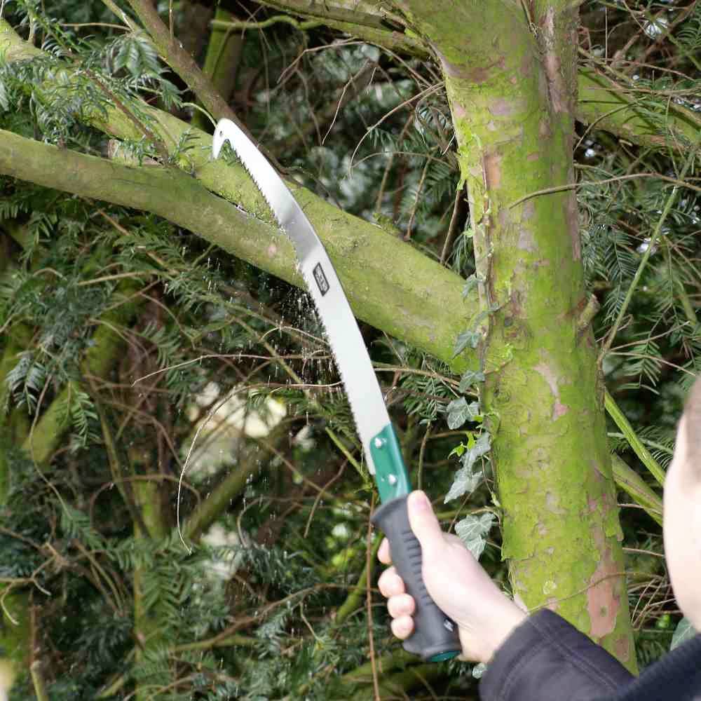 Eine Hand hält eine gebogene Astsäge, die an einem dicken Ast eines Baumes angesetzt ist, um diesen abzuschneiden.