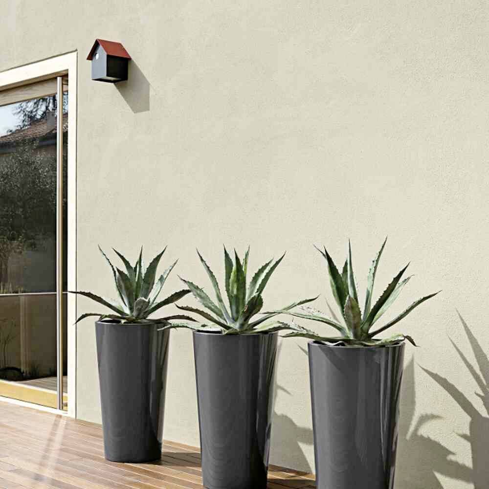 Drei hohe Pflanzentöpfe mit Agaven stehen vor einer beigen Wand. Ein kleines Vogelhaus hängt oben an der Wand.