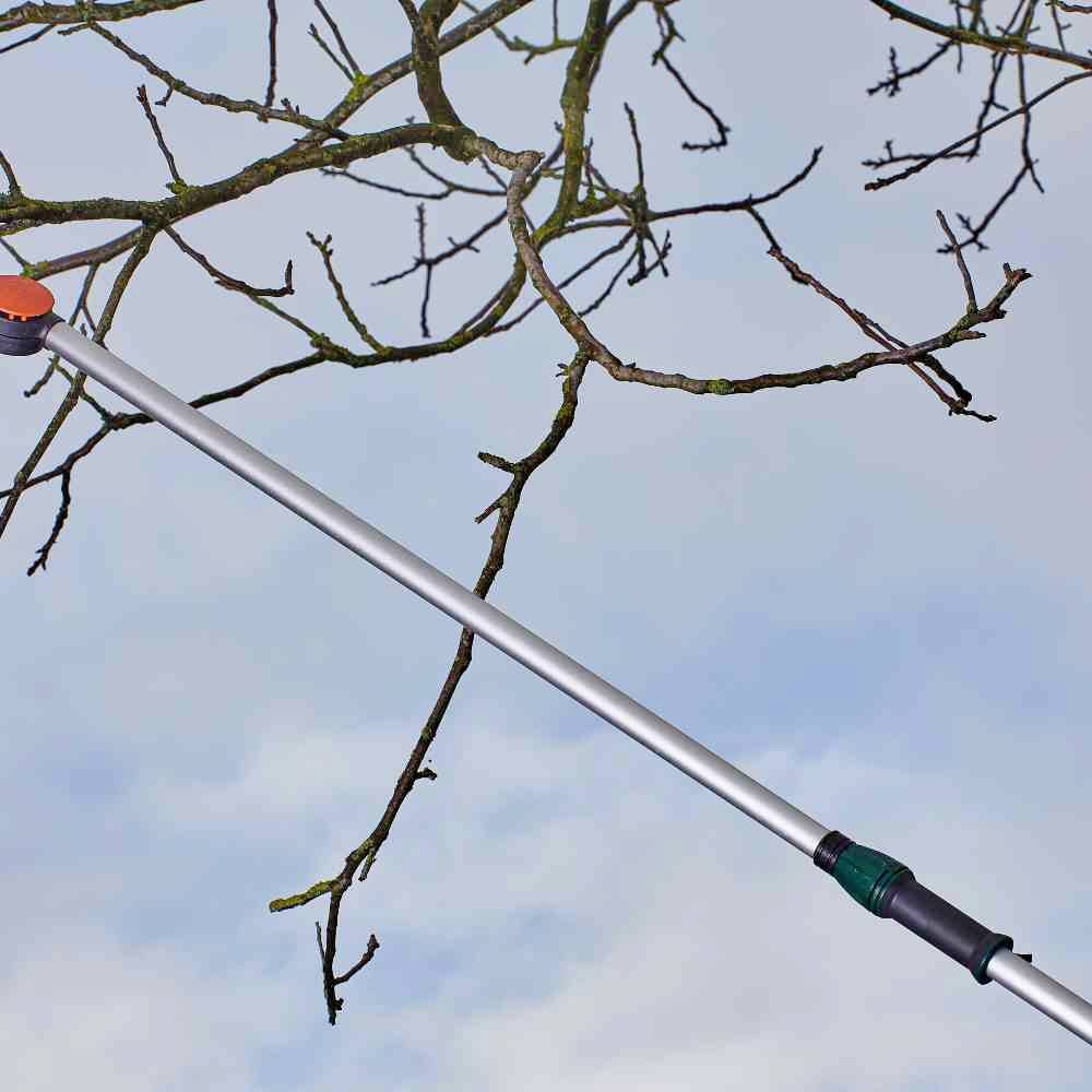 Ein Astschneider schneidet oberhalb einen kahlen Ast eines Baumes unter blauem Himmel ab.