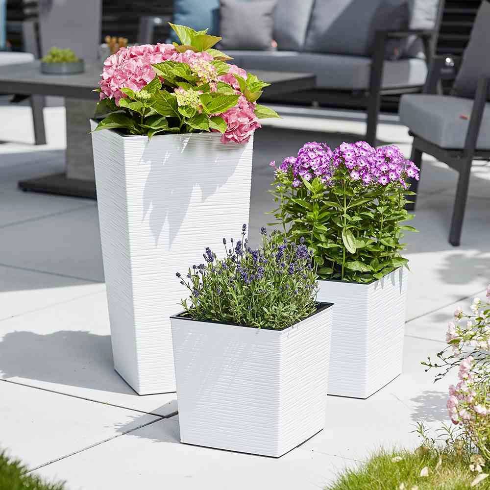 Drei weiße Pflanzgefäße auf einer Terrasse, gefüllt mit rosa Hortensien, rosa Phlox und Lavendel, im Sonnenlicht.