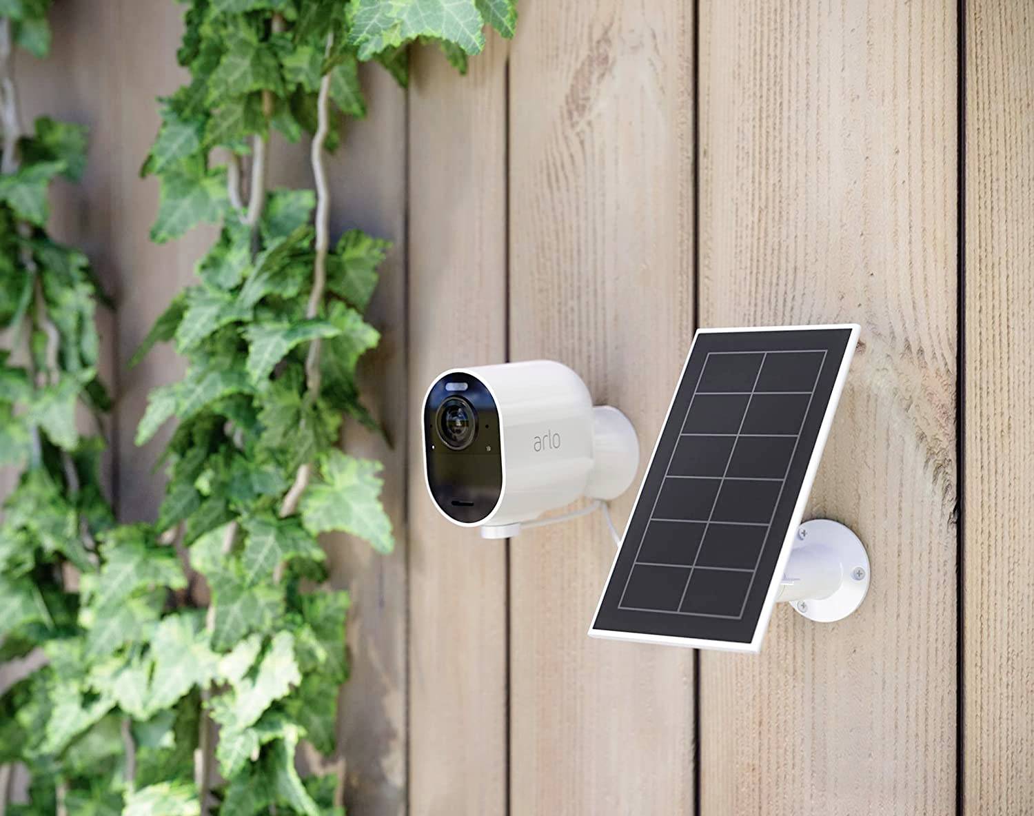 Überwachungskamera mit Solarpanel an einer Holzwand, umgeben von Efeupflanze. Dient zur Überwachung und solarbetriebenen Stromversorgung.