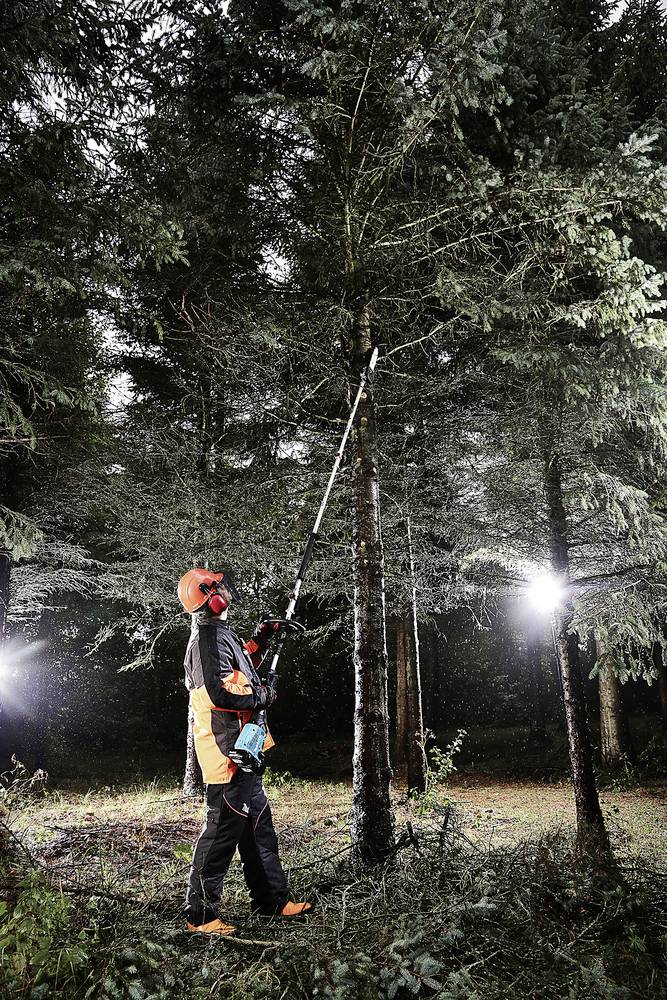 Eine Person in Schutzkleidung verwendet eine Kettensäge, um einen Baum im Wald zu beschneiden. Umgeben von anderen Bäumen bei Nacht.