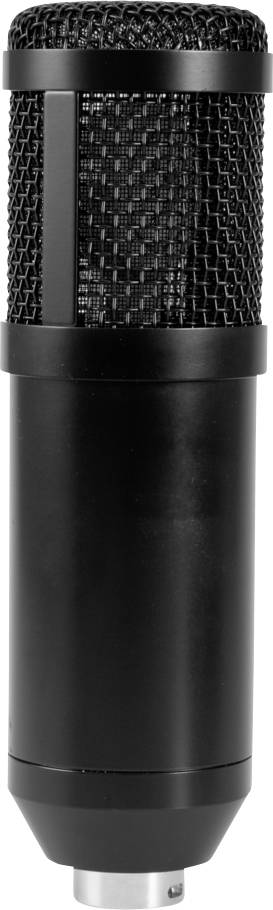 Schwarzes Mikrofon mit zylindrischem Gehäuse und integriertem Netz, für Sprach- oder Instrumentenaufnahmen geeignet.
