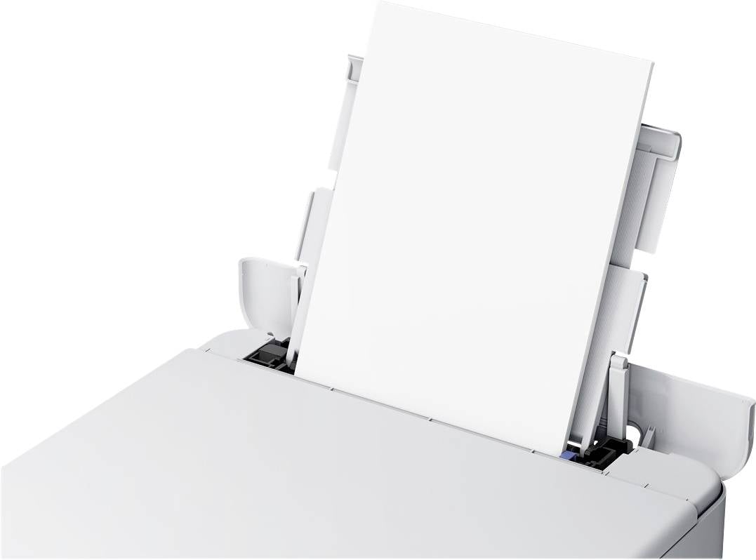 Papierzufuhr eines Druckers mit leerem Papierstapel. Oberer Bereich der Druckeröffnung sichtbar.