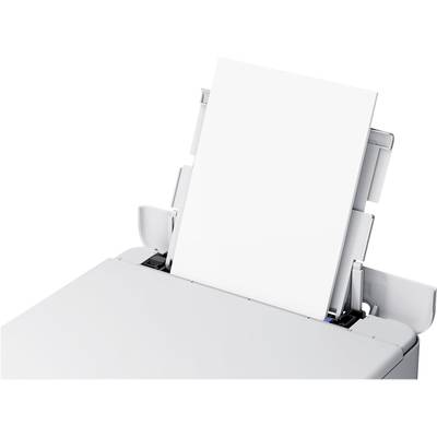 Papierzufuhr eines Druckers mit leerem Papierstapel. Oberer Bereich der Druckeröffnung sichtbar.
