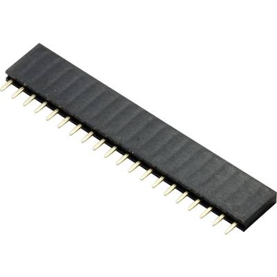 Schwarzer, rechteckiger elektrischer Steckverbinder mit goldenen, nach unten gerichteten Stiften, zur Verbindung von Leiterplatten.