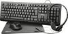 Trust PRIMO 4-IN-1 HOME OFFICE SET Funk, Kabelgebunden, USB Tastatur, Maus-Set Deutsch, QWERTZ Schwarz