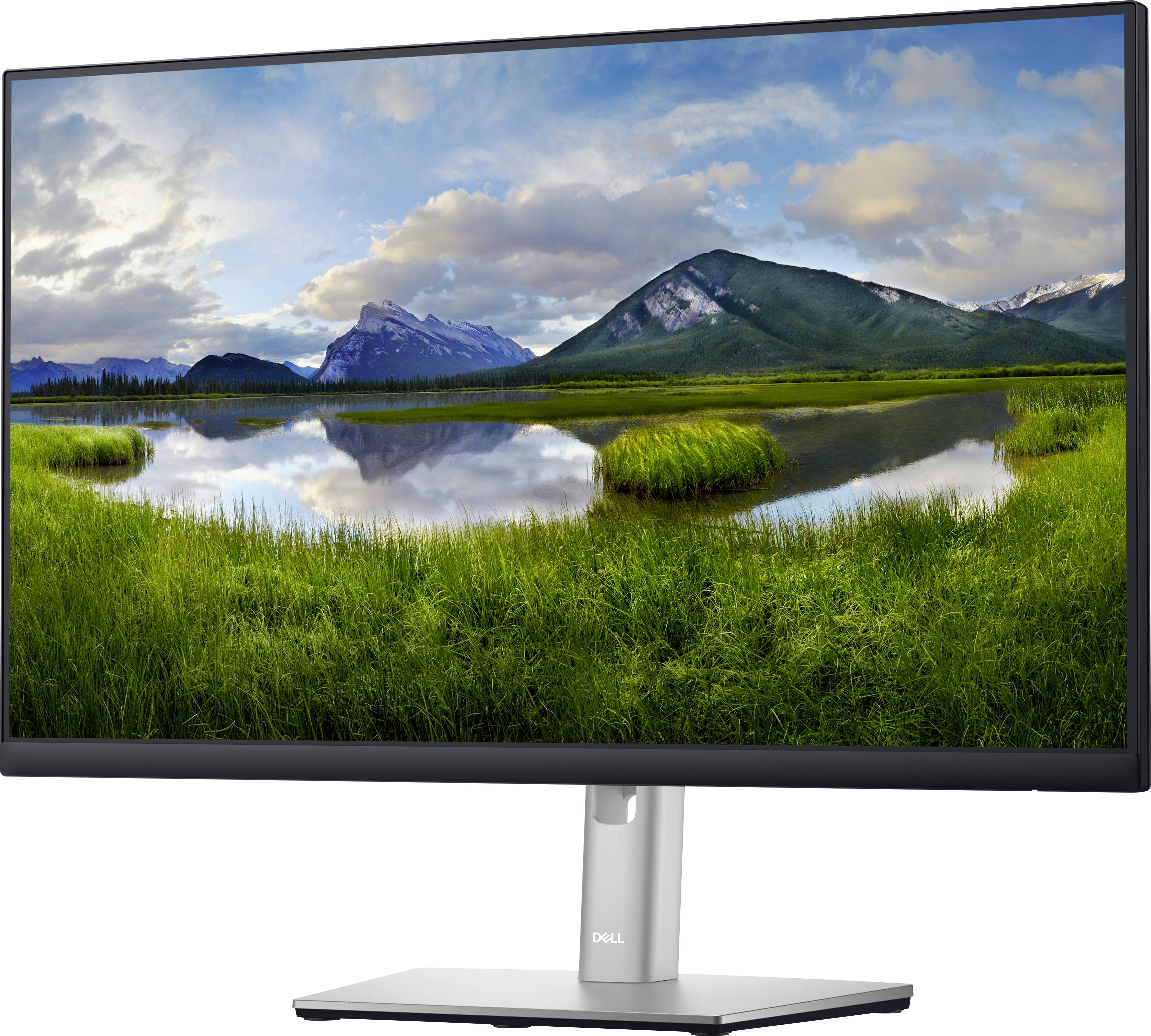 Dell Professional P2422H Monitor 24'' 1920 x 1080 FHD 250cd/m²-2