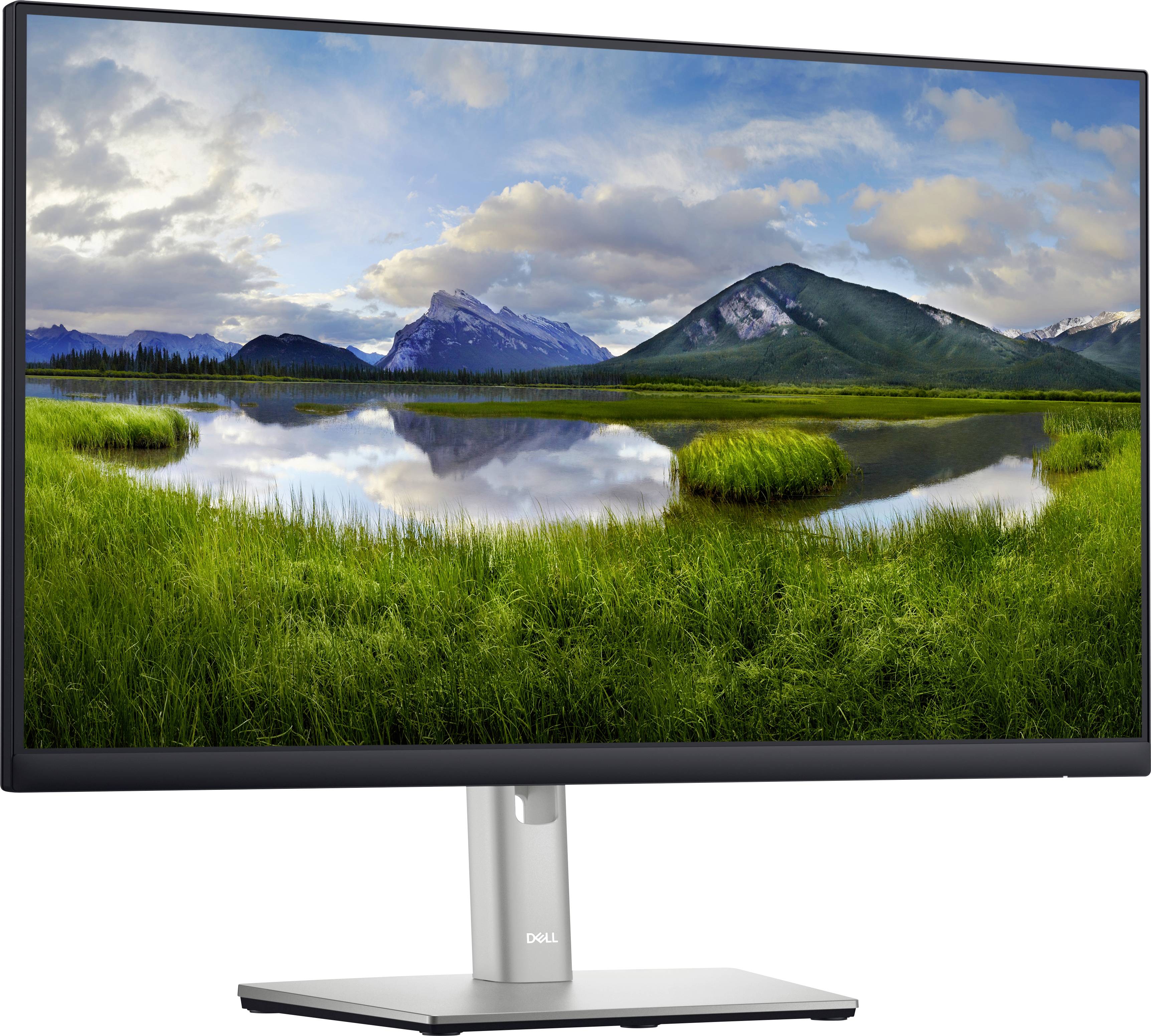 Dell Professional P2422H Monitor 24'' 1920 x 1080 FHD 250cd/m²-3