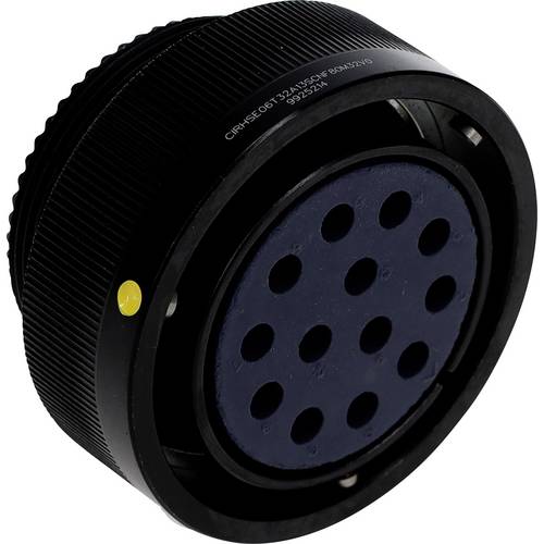 TE Connectivity CIRHSE06T32A13SCNF80M32V0 1 St.