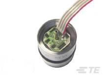 TE Connectivity Sensor 1 St. TE TCS Stainless ISO mV