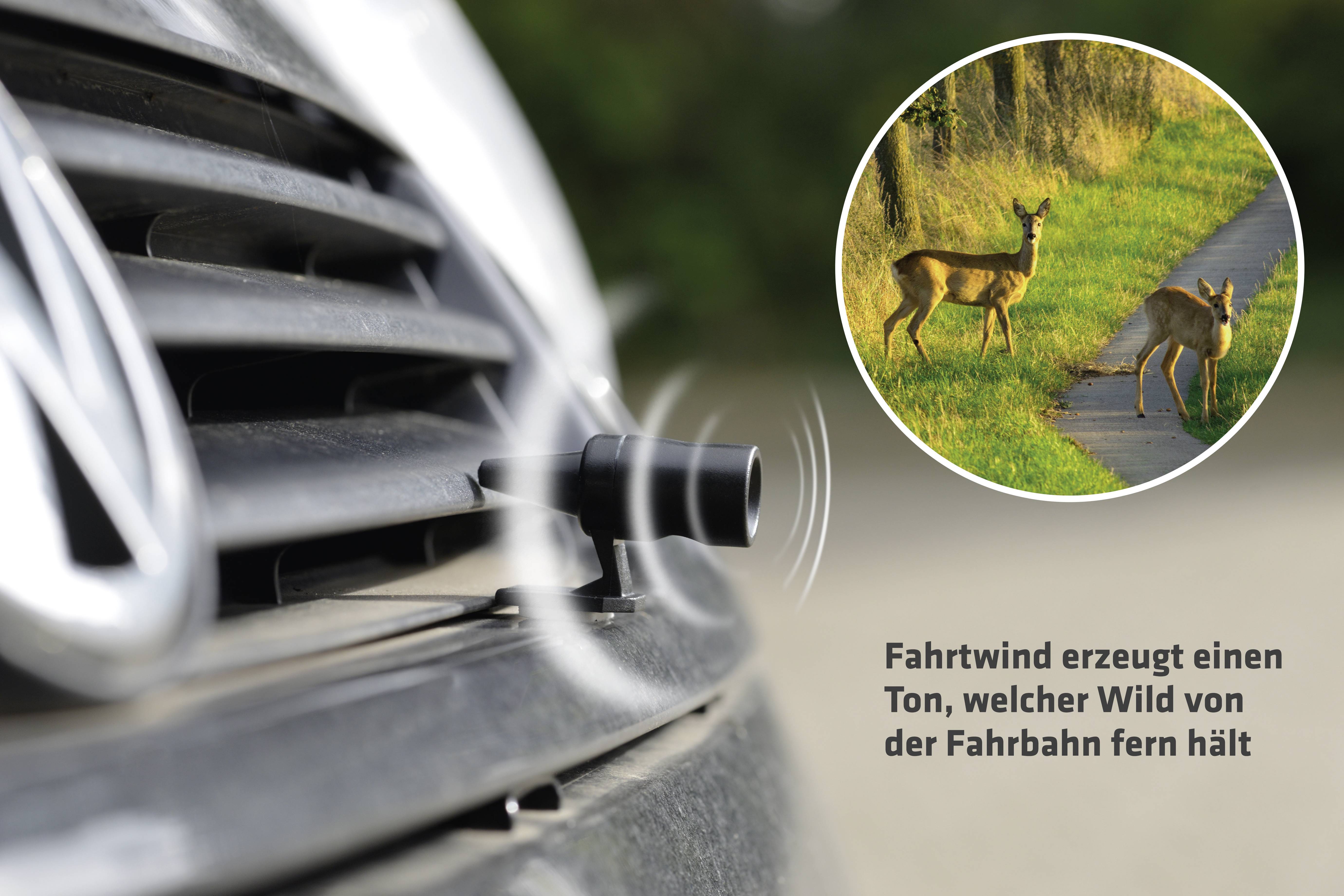 Fahrtwind erzeugt einen Ton, der Wild von der Fahrbahn fern hält. Bild zeigt Rehe am Straßenrand und ein Gerät am Auto.