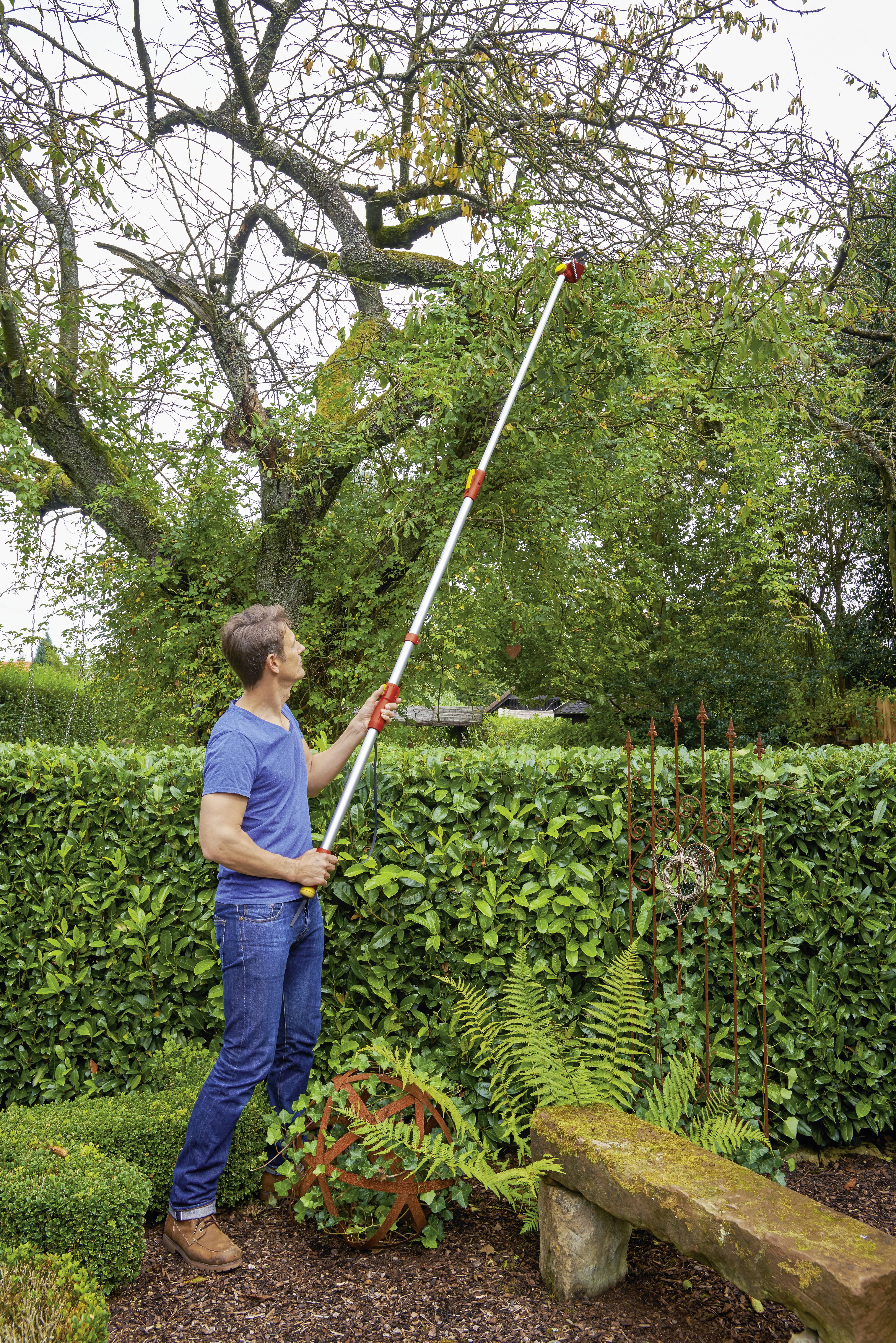 Eine Person beschneidet mit einer langen Astschere Äste von einem Baum in einem Garten. Im Hintergrund sind Bäume und Sträucher.