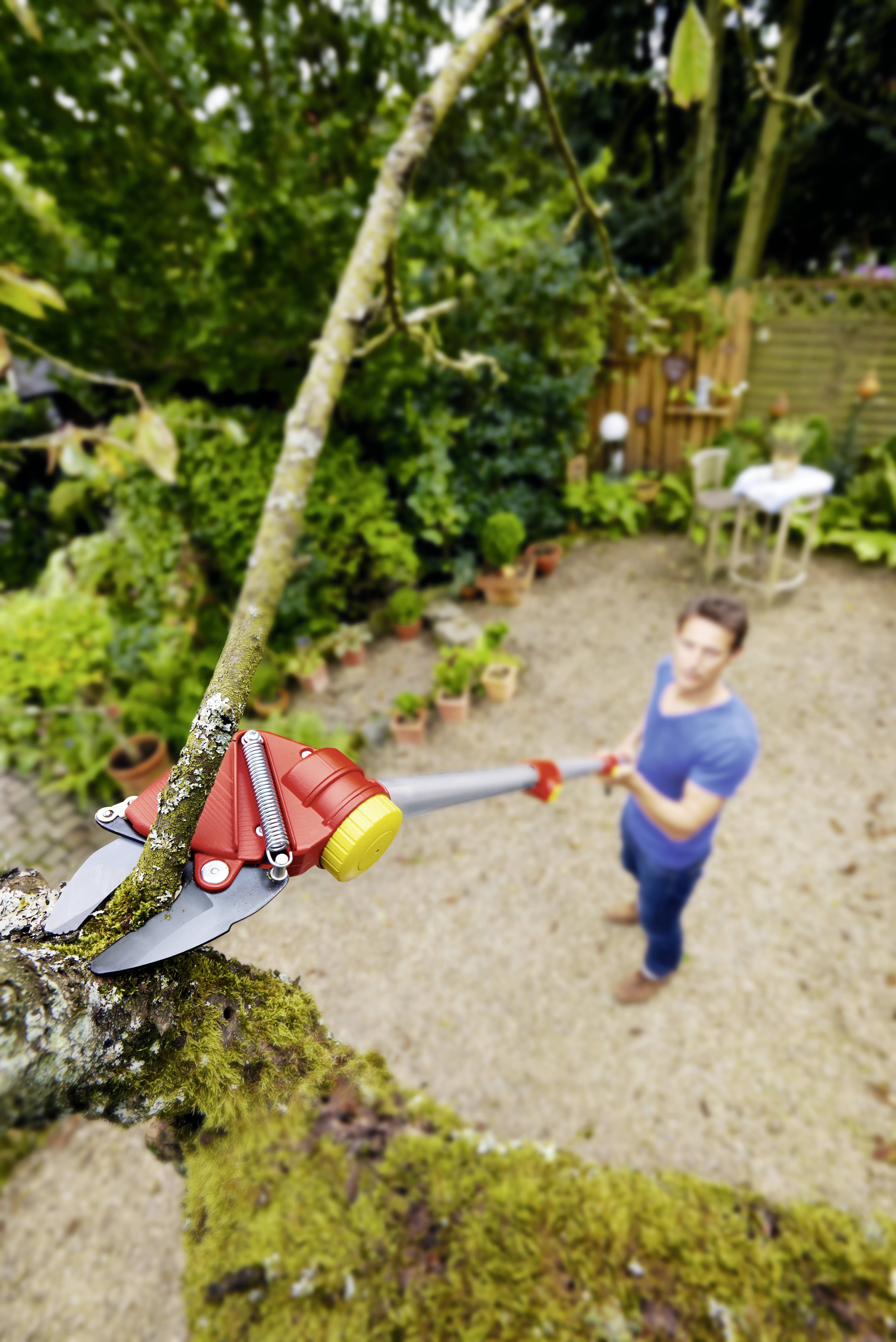 Ein Mann in einem Garten schneidet mit einer Astschere einen Ast. Im Hintergrund sind Pflanzen und ein Tisch mit Stühlen zu sehen.