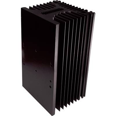 Kühlkörper aus schwarzem Metall mit mehreren Rippen zur Wärmeableitung, vertikal stehend. Wesentliches Bauteil in elektronischen Geräten.