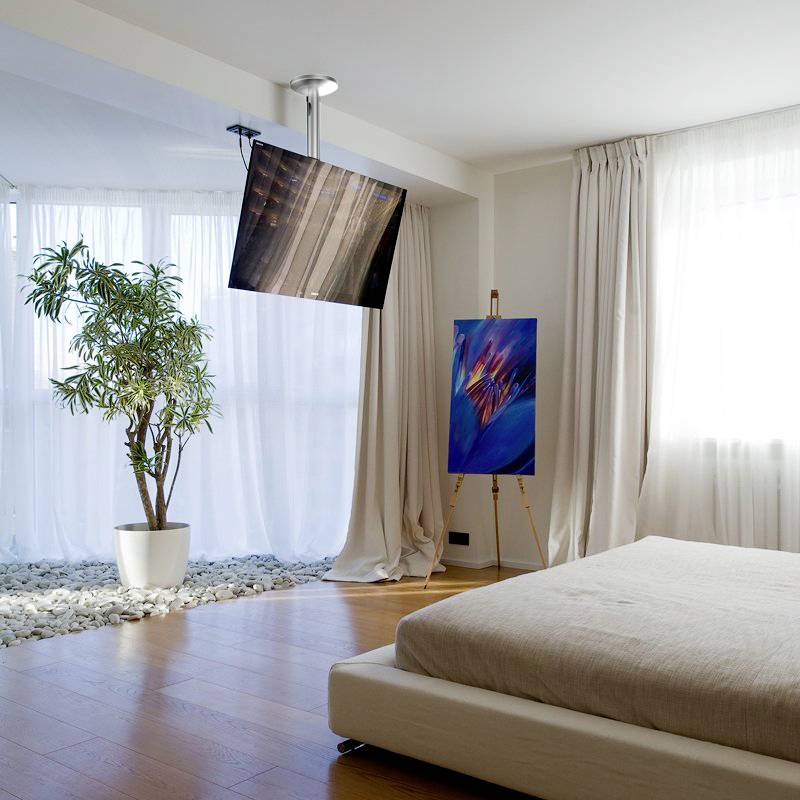 Reflecta PALLAS Extend TV-Deckenhalterung 59,9 cm (23,6") - 106,7 cm (42") Deckenhalter-1