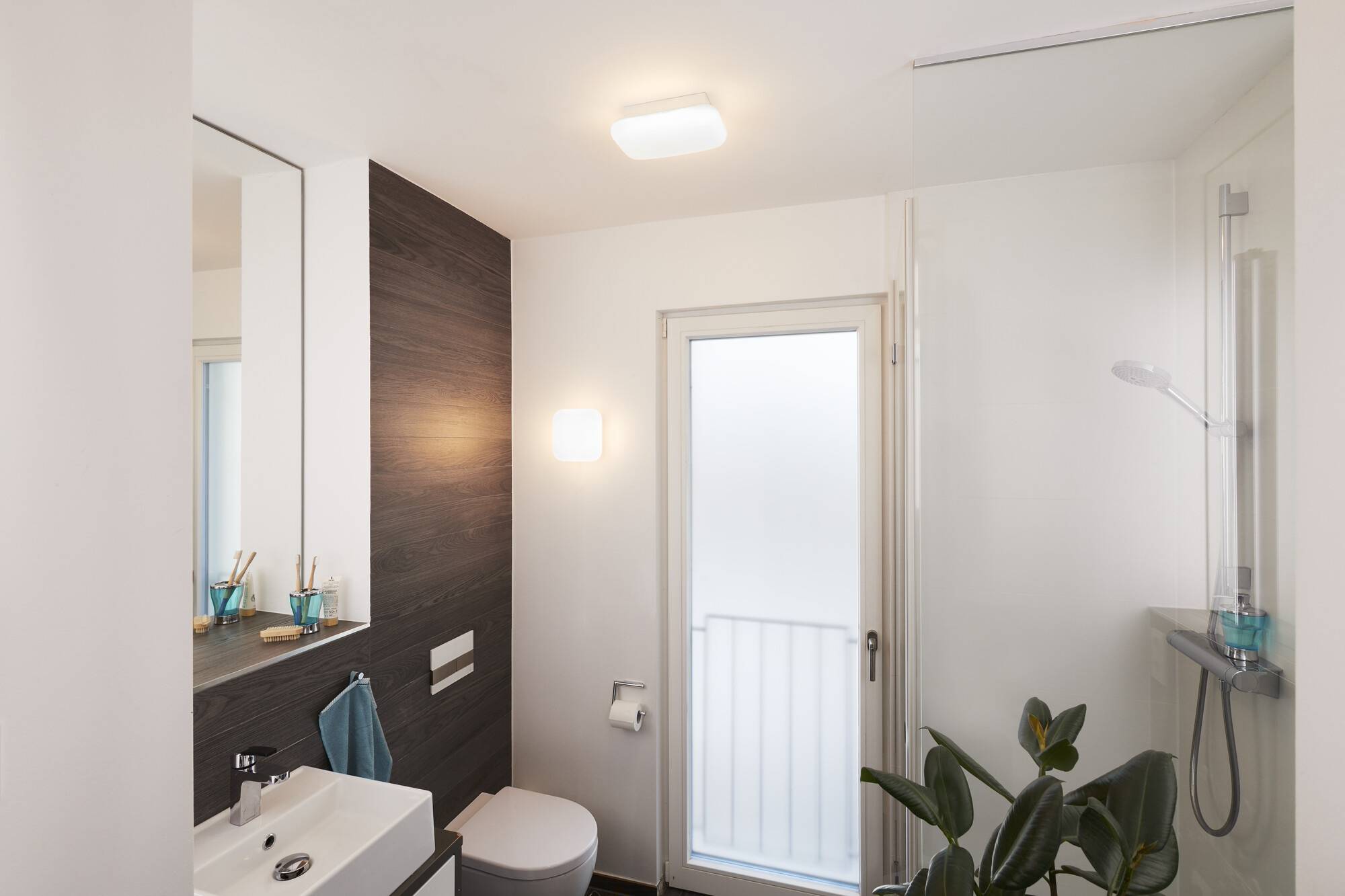 Kleines, modernes Badezimmer mit Waschbecken, Toilette, Dusche, Pflanzen und Dekoration. Weiße Wände, Holz- und Glaselemente.