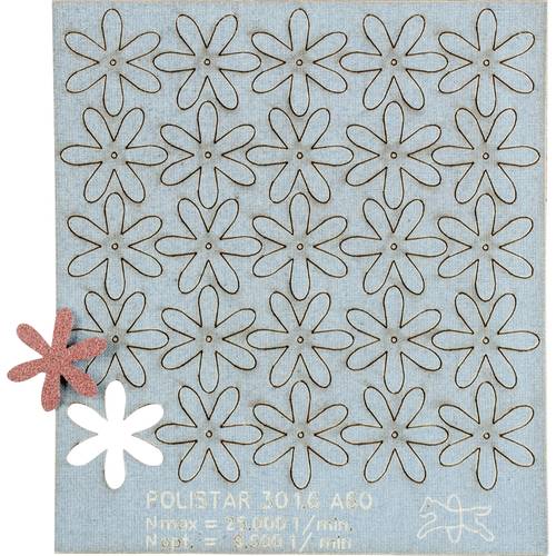 PFERD TOOLS 42730306 Schleifsterne Durchmesser 30 mm 100 St.