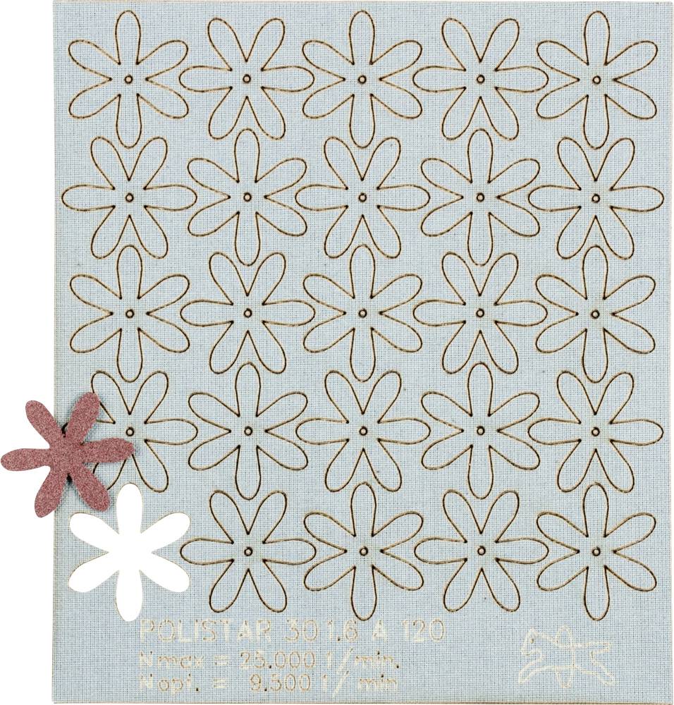 PFERD TOOLS 42730312 Schleifsterne Durchmesser 30 mm 100 St.