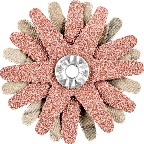 PFERD TOOLS 42732063 Schleifsterne Durchmesser 50 mm 10 St.