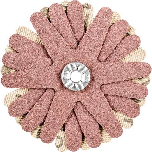 PFERD TOOLS 42732088 Schleifsterne Durchmesser 60 mm 10 St.