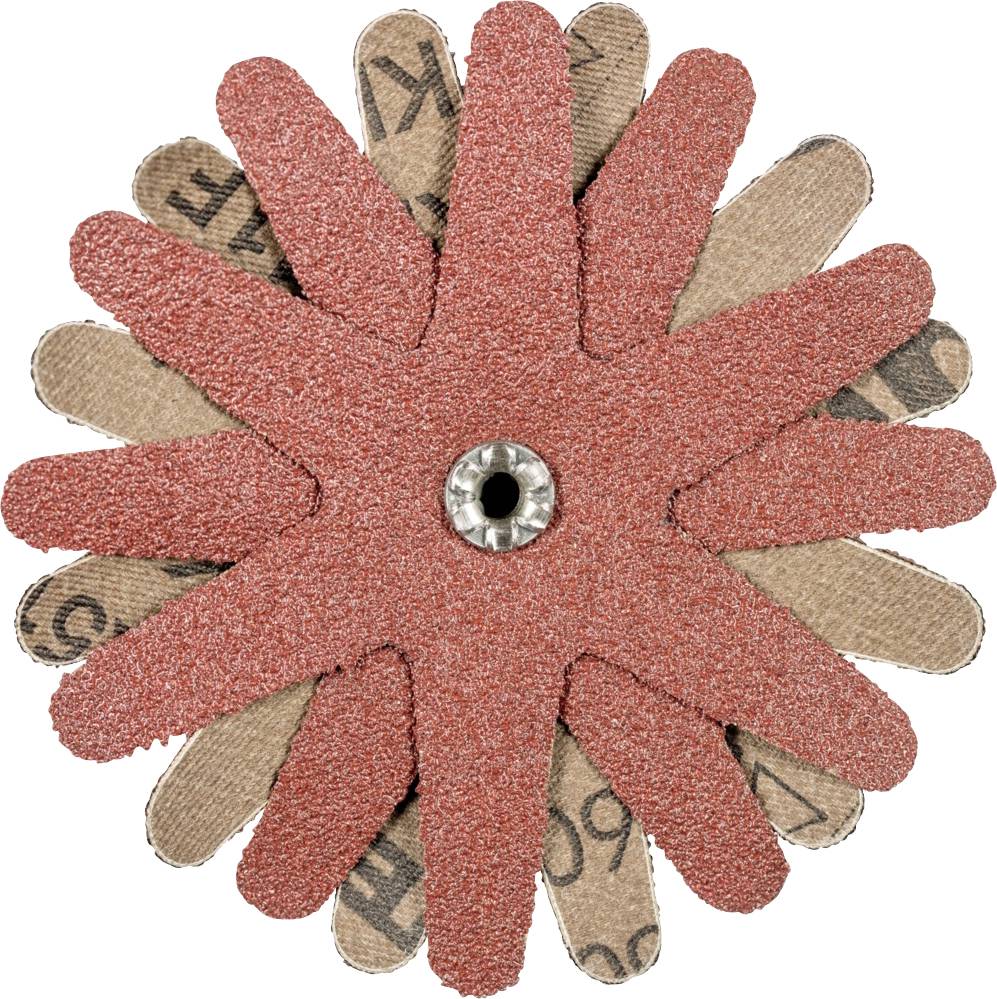 PFERD TOOLS 42732163 Schleifsterne Durchmesser 100 mm 10 St.