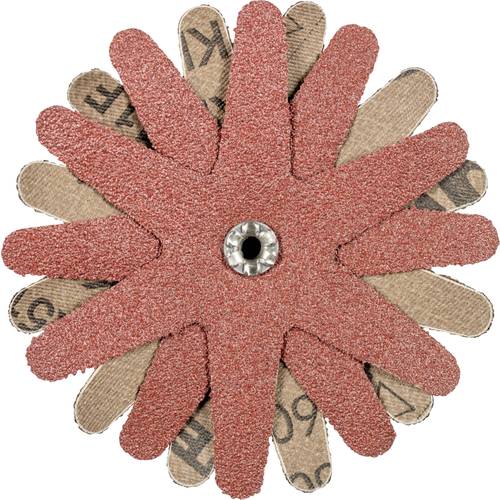 PFERD TOOLS 42732163 Schleifsterne Durchmesser 100 mm 10 St.