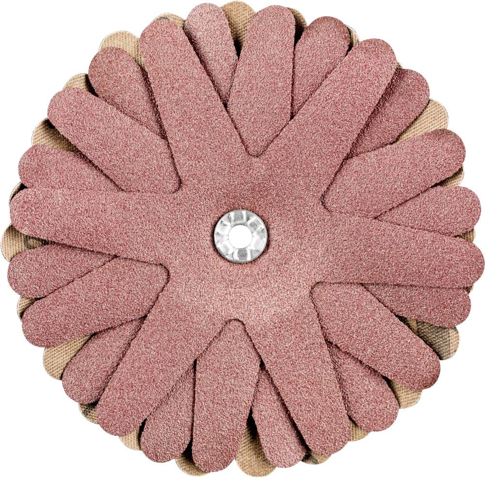 PFERD TOOLS 42732166 Schleifsterne Durchmesser 100 mm 10 St.