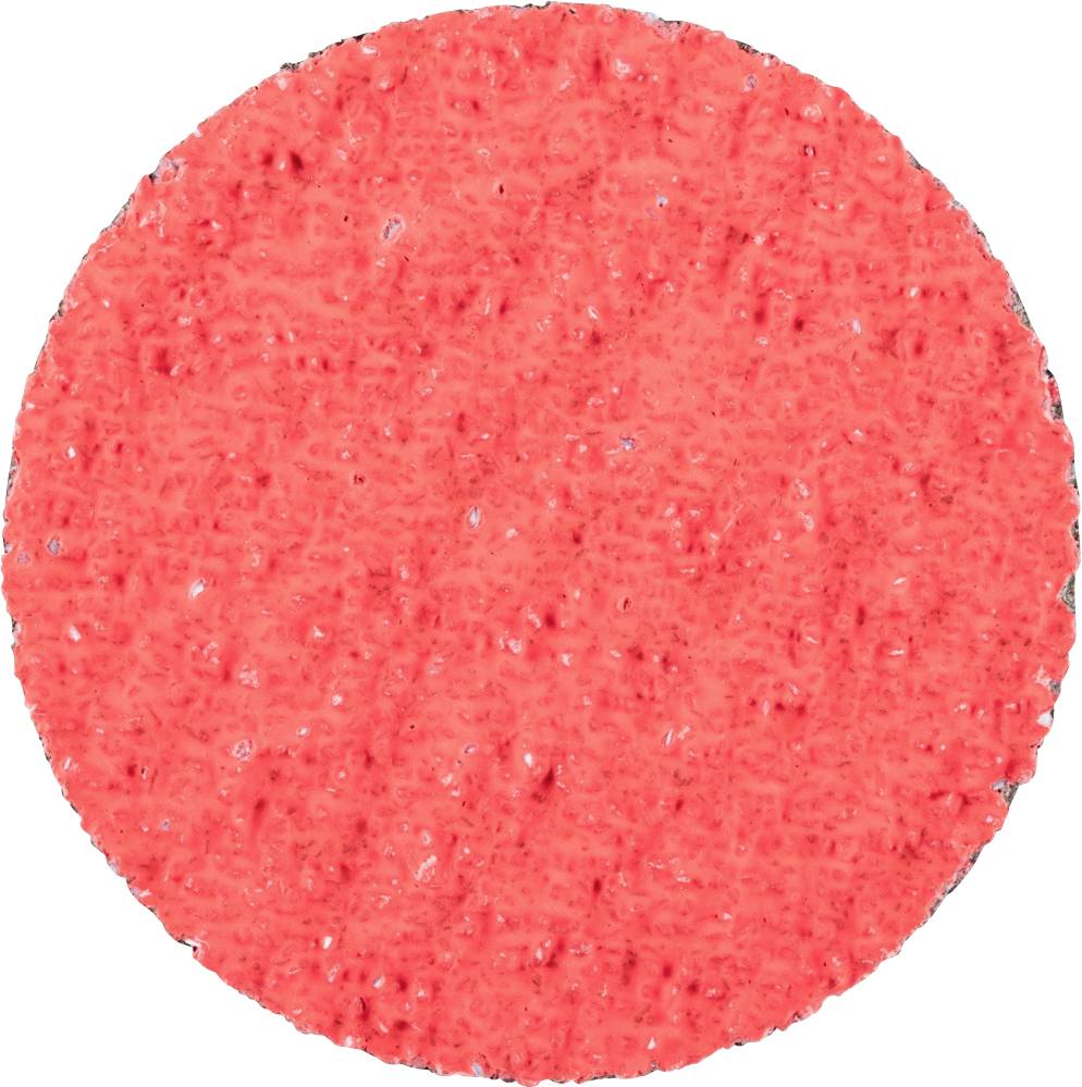 PFERD TOOLS 42749503 Kleinfiberschleifer Durchmesser 50 mm Aluminium, Bronze, Edelstahl, Titan, Temperguß, Kobaltbasisle...