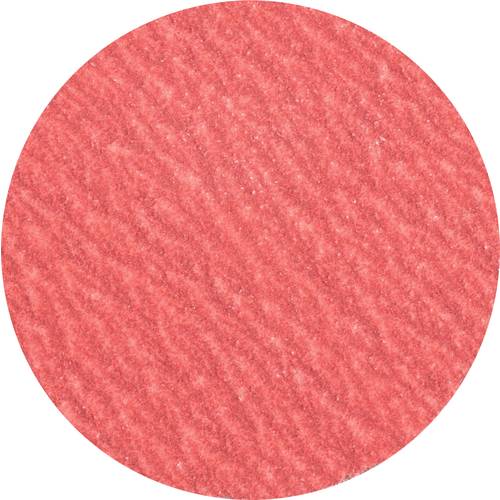 PFERD TOOLS 42749512 Kleinfiberschleifer Durchmesser 50 mm Aluminium, Bronze, Edelstahl, Titan 100 St.