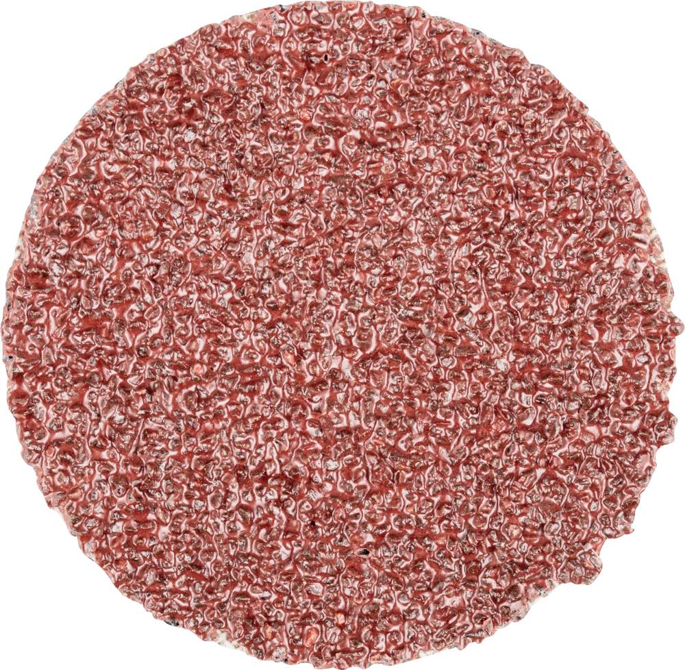 PFERD TOOLS CD 38 A 36 FORTE 42751403 Schleifblatt Körnung (num) 36 (Ø) 38 mm 100 St.